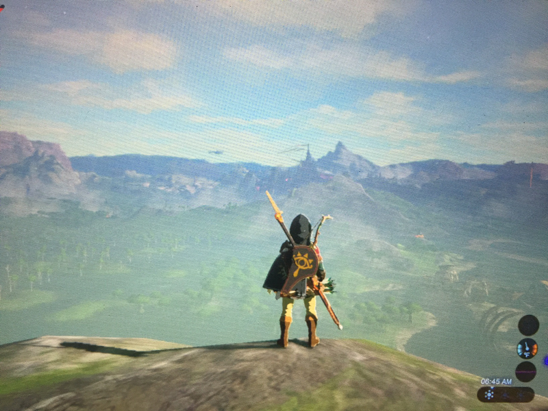 Illustration for article titled Here are Some of my Favorite Screenshots from The Legend of Zelda: Breath of the Wild